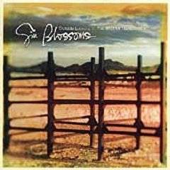 Gin Blossoms : Outside Looking In